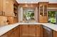 7728 Knottingham, Downers Grove, IL 60516