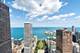 800 N Michigan Unit PH67, Chicago, IL 60611