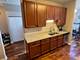 1524 Cottonwood, Yorkville, IL 60560
