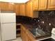 2035 W Granville Unit C509, Chicago, IL 60659
