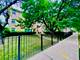 5704 W Montrose Unit 1A, Chicago, IL 60634