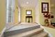 1512 S Prairie Unit D, Chicago, IL 60605