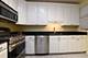 1512 S Prairie Unit D, Chicago, IL 60605