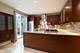1511 S Indiana Unit F, Chicago, IL 60605