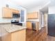 1077 N Paulina Unit 1, Chicago, IL 60622