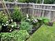 123 N Hamlin, Park Ridge, IL 60068