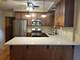 2742 N Bosworth Unit 2, Chicago, IL 60614