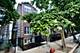 1528 W Cortez Unit 1, Chicago, IL 60642