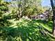 3601 Countryside, Glenview, IL 60025