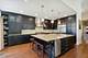 925 Fountain View Unit 925, Deerfield, IL 60015