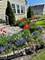 1770 Morse, Des Plaines, IL 60018