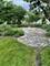 1770 Morse, Des Plaines, IL 60018