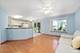 21533 W Chestnut, Plainfield, IL 60544