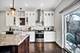 627 E 41st, Chicago, IL 60653