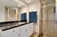 675 S Lyman, Des Plaines, IL 60016