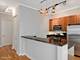 170 W Polk Unit 1001, Chicago, IL 60605