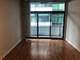 650 W Wayman Unit 307, Chicago, IL 60661