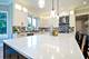 16218 Syd Creek, Homer Glen, IL 60491