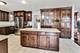 1866 Cattail, Aurora, IL 60505