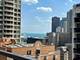 850 N Dewitt Unit 22F, Chicago, IL 60611