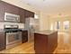 2144 W Potomac, Chicago, IL 60622