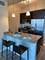 1400 S Michigan Unit 2508, Chicago, IL 60605
