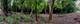 27253 Lakeview, Lake Barrington, IL 60010
