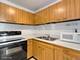 720 W Gordon Unit 17N, Chicago, IL 60613