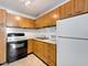 720 W Gordon Unit 17N, Chicago, IL 60613