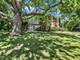 1205 Clyde, Naperville, IL 60540