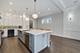 2234 W Oakdale, Chicago, IL 60618