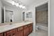 1020 Hickory, Western Springs, IL 60558