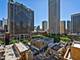 33 E Cedar Unit 10D, Chicago, IL 60611