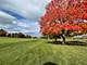 21186 W Preserve, Kildeer, IL 60047