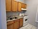 1025 W Cullerton Unit 1R, Chicago, IL 60608