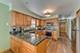 3805 N Pittsburgh, Chicago, IL 60634