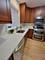 625 W Deming Unit 4E, Chicago, IL 60614