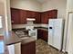 236 Bertram Unit P, Yorkville, IL 60560