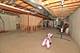 2447 Worthington, Aurora, IL 60506
