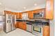 8234 N Oketo, Niles, IL 60714