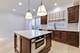 1657 Hickory Unit 10, Highland Park, IL 60035