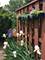 1677 Cove, Naperville, IL 60565