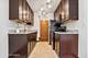 5800 Oakwood Unit 1B, Lisle, IL 60532