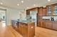 379 W Fremont, Elmhurst, IL 60126