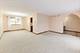 18438 Carriage, Lansing, IL 60438