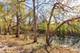377 W Tanglewood, Palatine, IL 60067