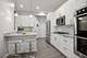 462 W Briar Unit 1, Chicago, IL 60657