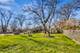 218 Yale, Barrington, IL 60010