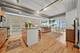 1430 S Michigan Unit 205, Chicago, IL 60605