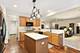 13356 Dakota Fields, Huntley, IL 60142
